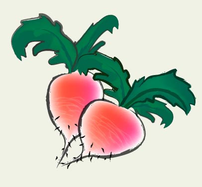 illustrator水墨萝卜