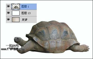 PS设计制作乌龟壳上的村庄环保宣传海报[中国