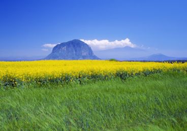 湖光山色--PS素材 PS背景 人物 花草 园林 山水