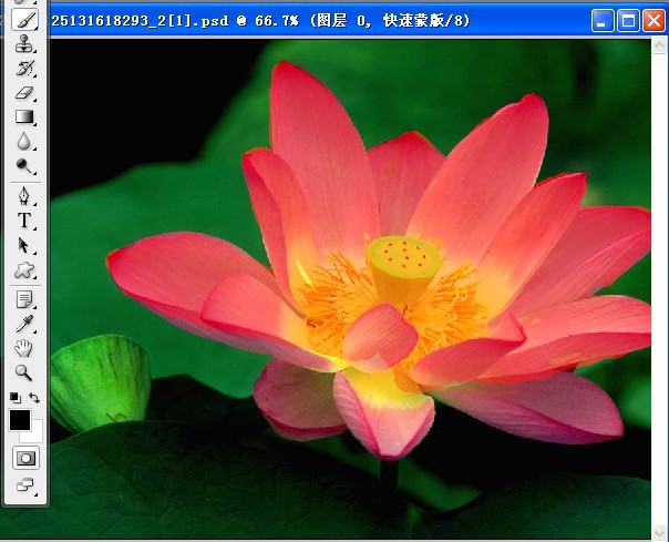按此在新窗口浏览图片