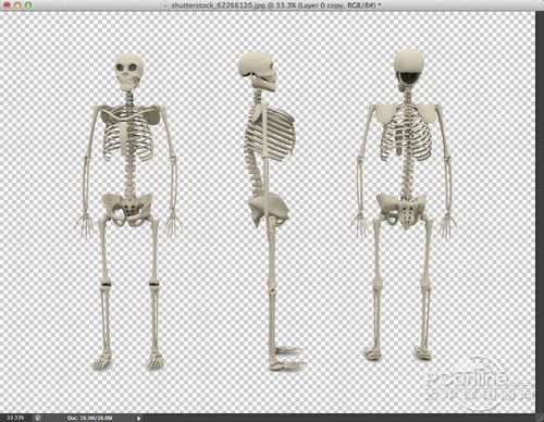 PhotoShop制作奇特X光片骨骼特效文字教程