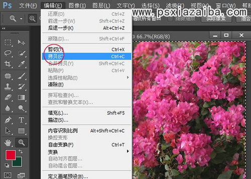 按此在新窗口浏览图片