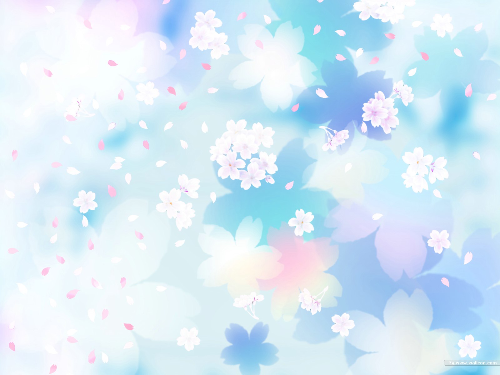 漂亮的樱花花瓣背景图片素材(31p)