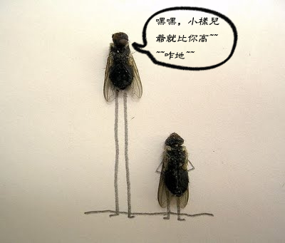 老外设计的超有意思的苍蝇生活影集(17P)