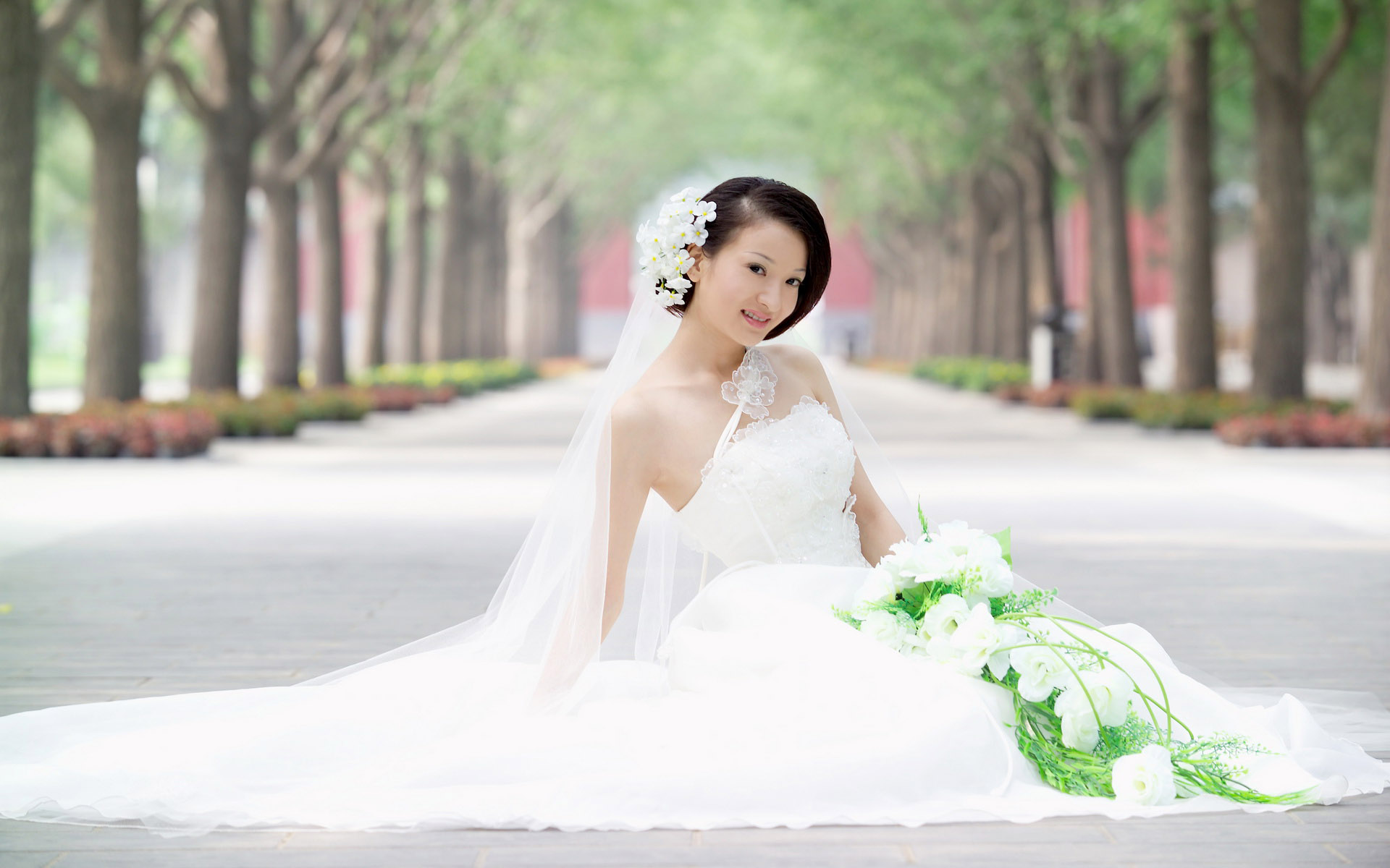 绝美的婚纱样片高清图片素材专辑二(15P)[中国
