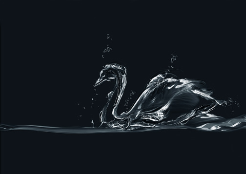 高清黑背景动感水花水形天鹅设计素材图片下载