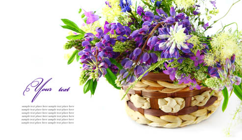 漂亮的篮装紫色花卉网页底图素材高清图片下载