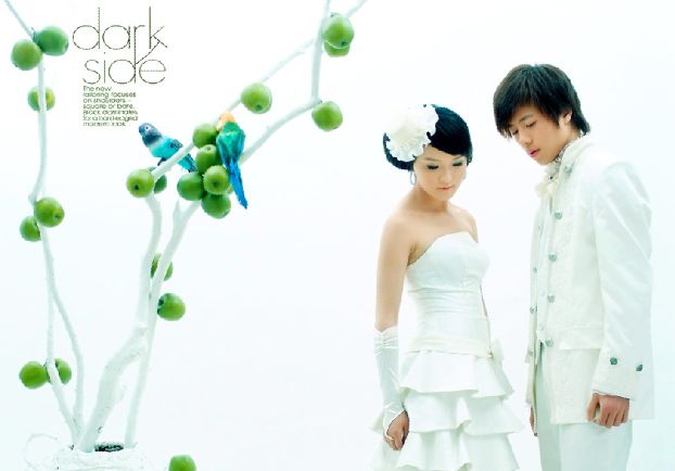 婚纱模板psd素材纯洁的爱系列2012最新婚纱样