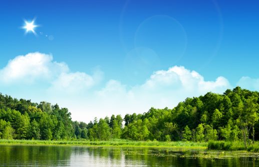 森林中的池塘风景模板psd素材阳光白云下的森