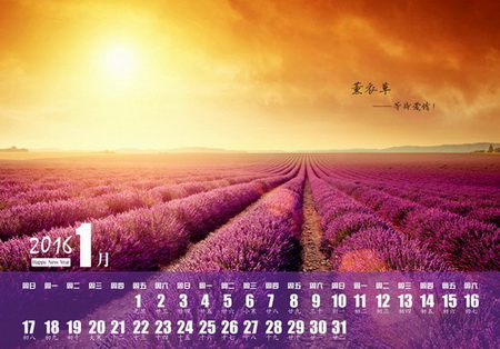 2016台历模板薰衣草风景画台历{M062.等待爱情}系列全套(13P)免费下载一月