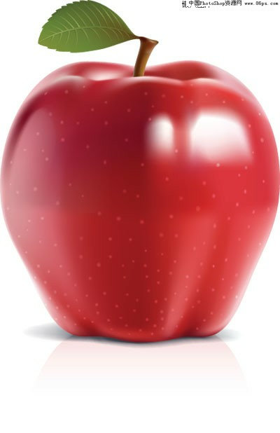 EPS格式可与照片媲美的青苹果和红苹果矢量