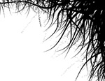 矢量前卫设计元素_6