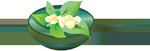东方SPA_5