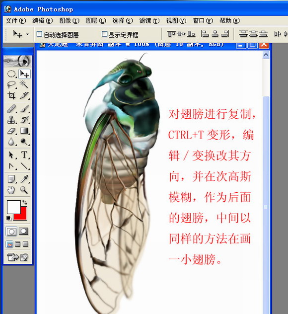 按此在新窗口浏览图片