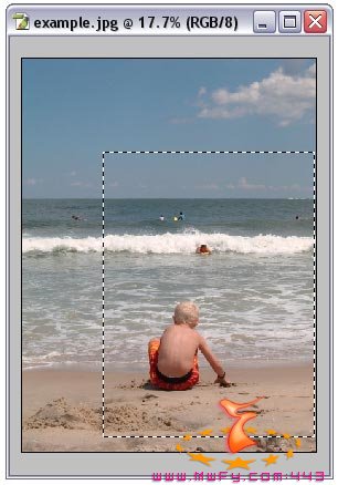 <a href='https://www.86ps.com/'><font color=''>Path</font></a> converted to a selection