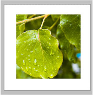 <a href='https://www.86ps.com/'><font color=''>Photoshop</font></a> CS Tutorial