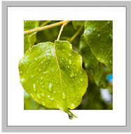 <a href='https://www.86ps.com/'><font color=''>Photoshop</font></a> CS Tutorial