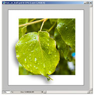 <a href='https://www.86ps.com/'><font color=''>Photoshop</font></a> CS Tutorial