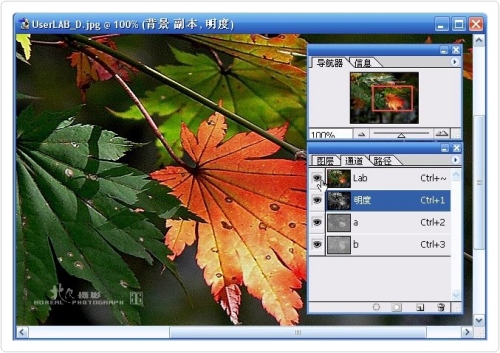 按此在新窗口浏览图片