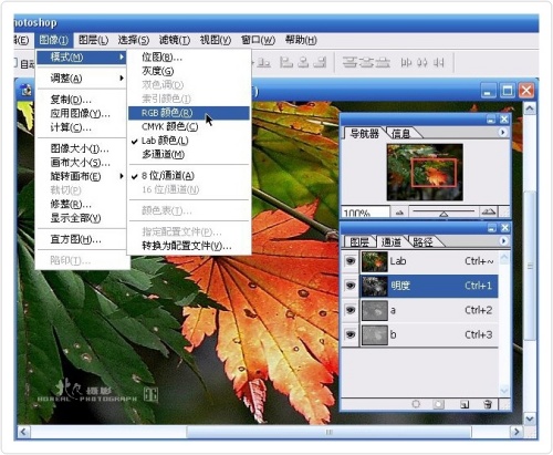 按此在新窗口浏览图片