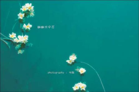 按此在新窗口浏览图片