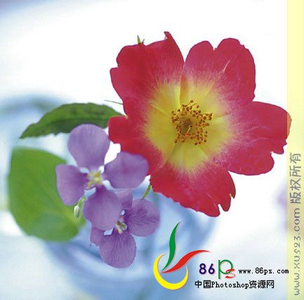 按此在新窗口浏览图片