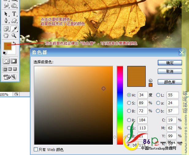 按此在新窗口浏览图片