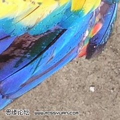 按此在新窗口浏览图片