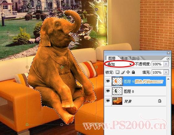 按此在新窗口浏览图片