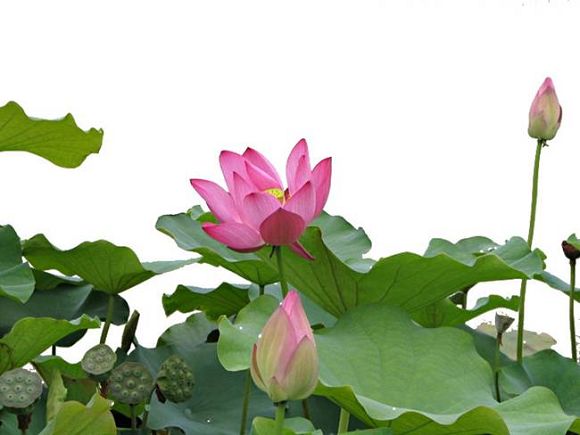 按此在新窗口浏览图片