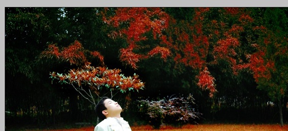 按此在新窗口浏览图片