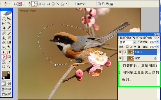 按此在新窗口浏览图片