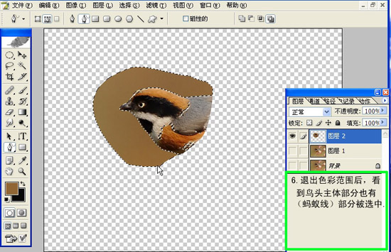 按此在新窗口浏览图片