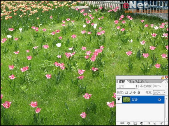 按此在新窗口浏览图片