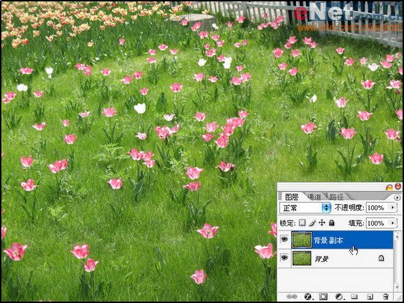 按此在新窗口浏览图片