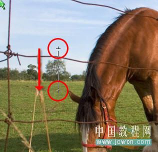 按此在新窗口浏览图片