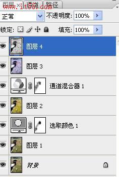 按此在新窗口浏览图片
