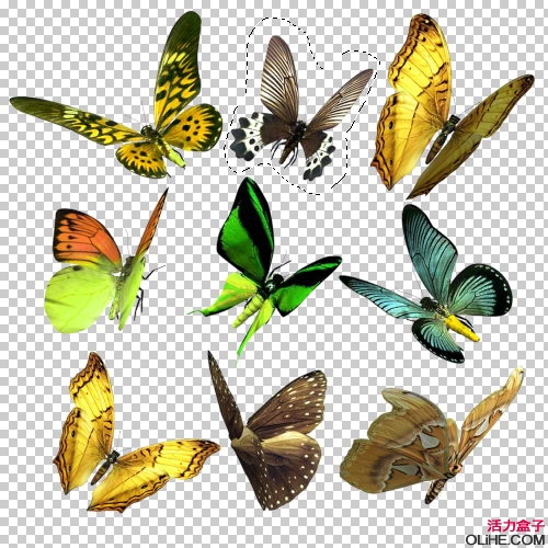 按此在新窗口浏览图片