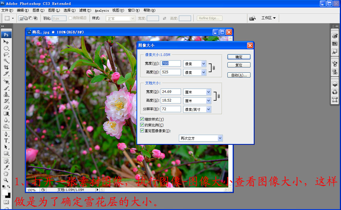 按此在新窗口浏览图片