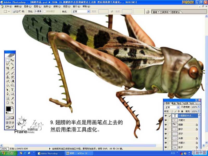 按此在新窗口浏览图片