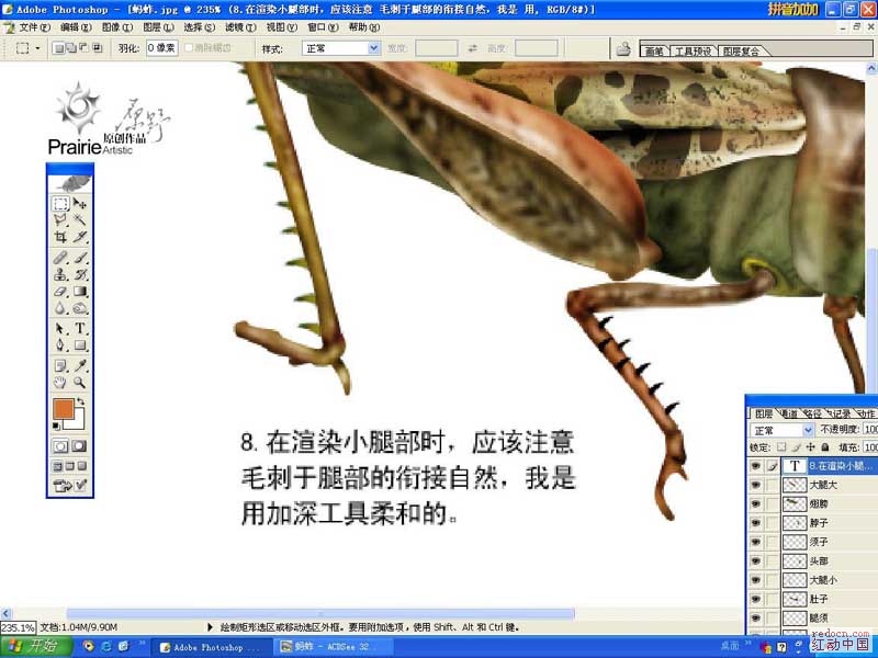 按此在新窗口浏览图片