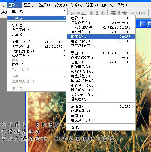 按此在新窗口浏览图片