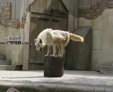 按此在新窗口浏览图片
