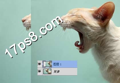 按此在新窗口浏览图片
