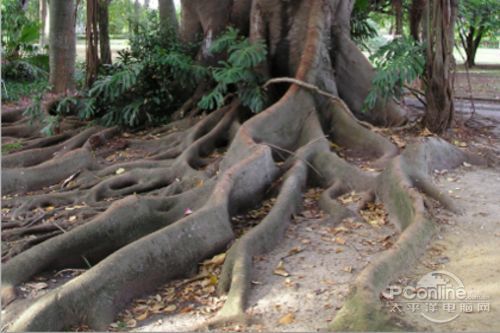 <a href='https://www.86ps.com/'><font color=''>Create</font></a> A Striking Nature