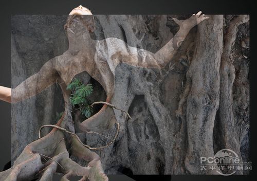 <a href='https://www.86ps.com/'><font color=''>Create</font></a> A Striking Nature <a href='https://www.86ps.com/'><font color=''>Create</font></a> A Striking Nature