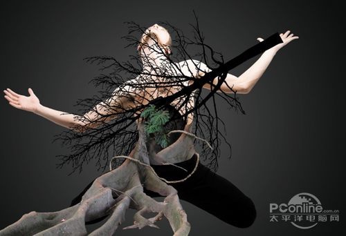 <a href='https://www.86ps.com/'><font color=''>Create</font></a> A Striking Nature
