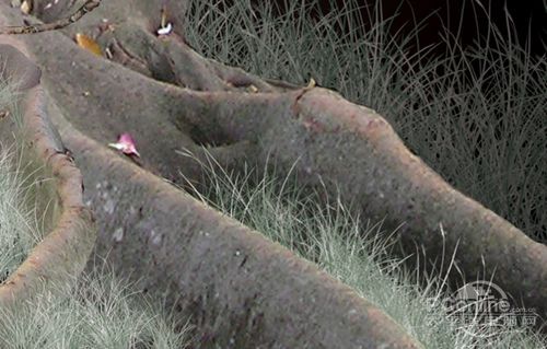 <a href='https://www.86ps.com/'><font color=''>Create</font></a> A Striking Nature