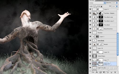 <a href='https://www.86ps.com/'><font color=''>Create</font></a> A Striking Nature