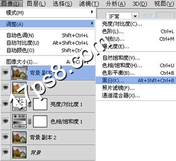 盖印层 照片转油画 <a href='https://www.86ps.com/Soft/Index.asp'><font color=''>滤镜</font></a>库 ps教程